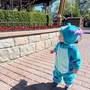 Monsters Inc sully costume 18-24 months